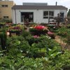 Bonny's Garden Center gift card