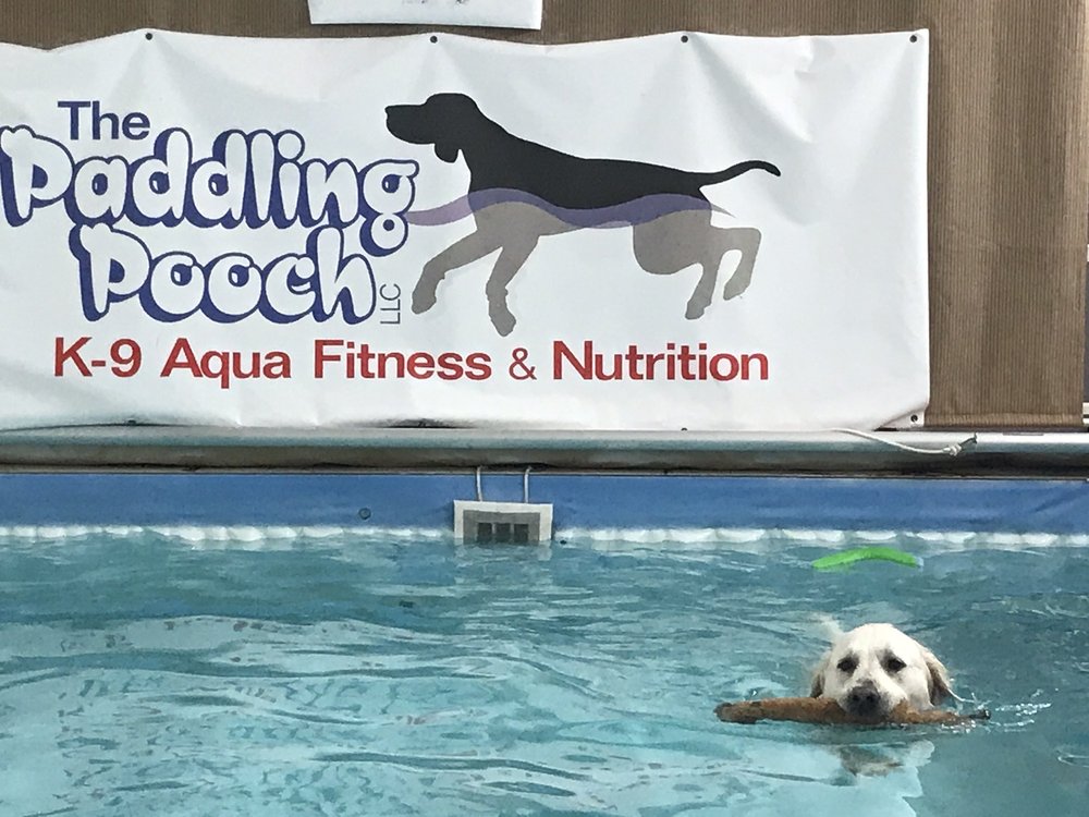 THE PADDLING POOCH Updated June 2024 2491 53rd Ave, Bettendorf