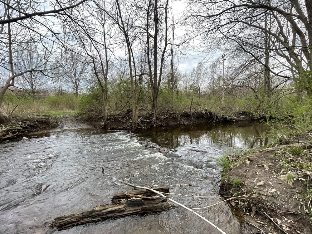 LYNN PARK Updated September 2024 23 W William St, Lincoln Park, New