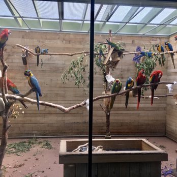Indianapolis Zoo - Gorgeous macaws! - Zoos Near Me - Indianapolis, Indiana Indianapolis Zoo - Gorgeous macaws! - Zoos Near Me - Indianapolis, Indiana