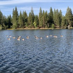 Lake Tabeaud