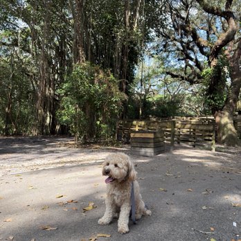 Tree Tops Park - Parks Near Me - Davie, Florida