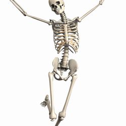 The Art of Pilates
