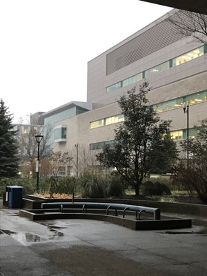 McMaster University by null