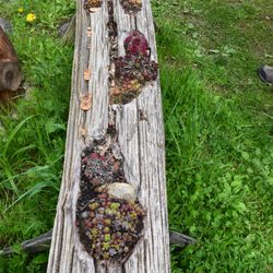 Pod Čerťákem - Gartengestaltung