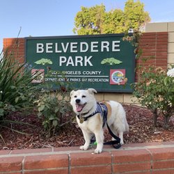 Dog friendly