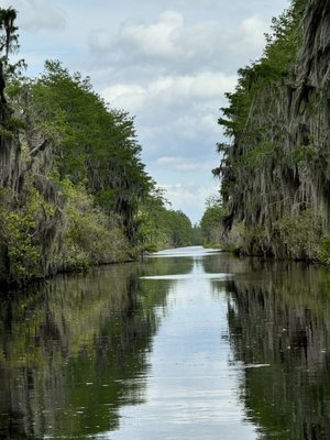 Okefenokee Adventures by null