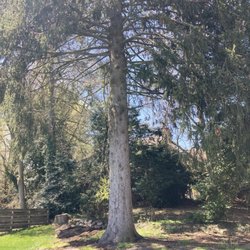 Hillside Nursery - How it started.
