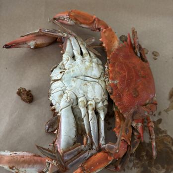 Captain White's Seafood - Jumbo crabs - Seafood Markets Near Me - Oxon Hill, Maryland