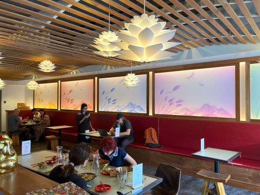 Dragonfly Noodle by null