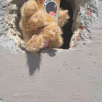 A Hole Coffee - Food Trucks Near Me - Austin, Texas