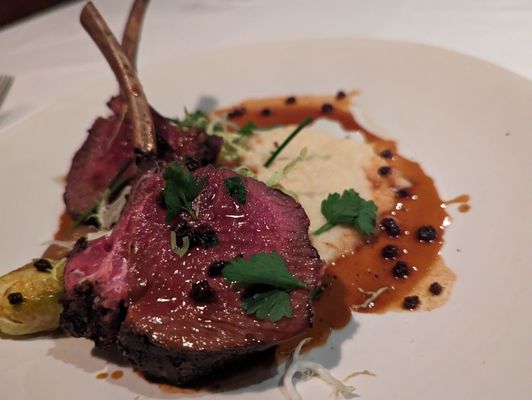 The Mountain House by null