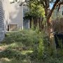 Mikosz Lawn Care and Landscaping