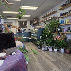 Sitka Flowers & Chocolate Moose - Entering this cute coffee, chocolate, and flower shop