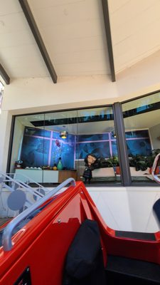 Incredicoaster by null