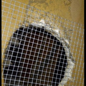 Cisneros Rodent & Wildlife Control - Sealed entry point for rats in attic - Pest Control Near Me Cisneros Rodent & Wildlife Control - Sealed entry point for rats in attic - Pest Control Near Me