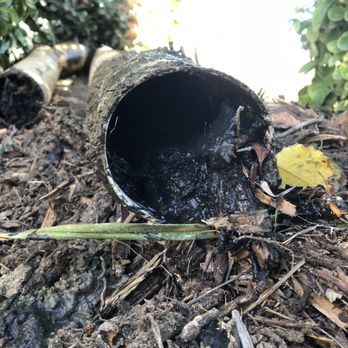 John Nelson Plumbing - Root and Debris Build Up! - Plumbing Near Me - La Crescenta, California