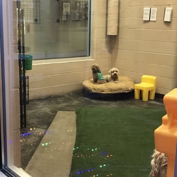Pet Play House - Pet Boarding Near Me - Reno, Nevada Pet Play House - Pet Boarding Near Me - Reno, Nevada