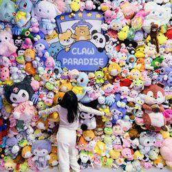 Claw Paradise