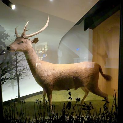 National Taiwan Museum by null