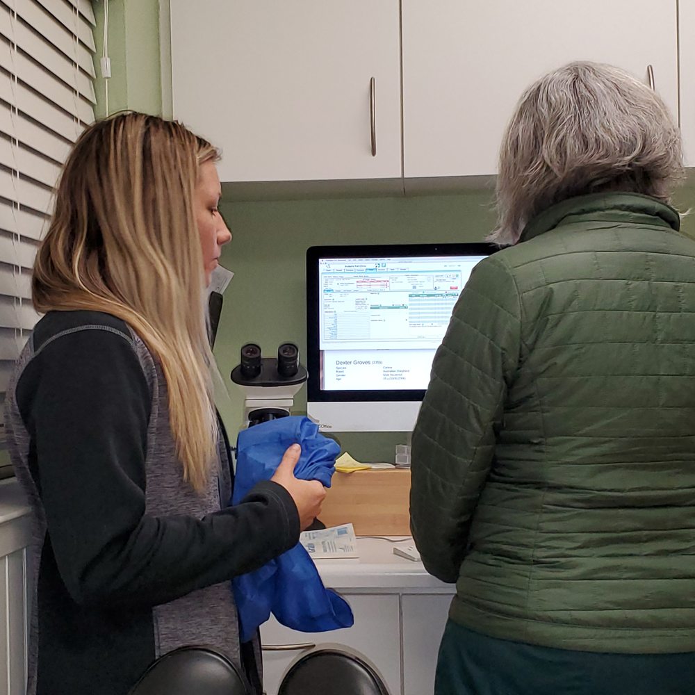 Dr. Wendy and assistant checking blood panel