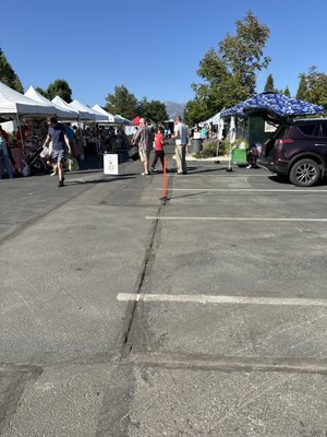Tamarack Junction Farmers Market by null