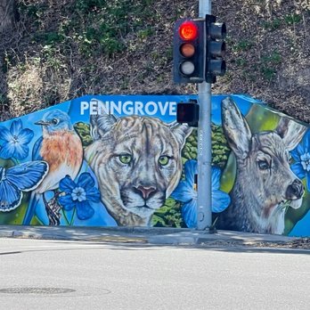 Bala Creative - Mural painting for the County of Sonoma in Penngrove, Ca featuring local wildlife. - Commissioned Artists Near Me Bala Creative - Mural painting for the County of Sonoma in Penngrove, Ca featuring local wildlife. - Commissioned Artists Near Me