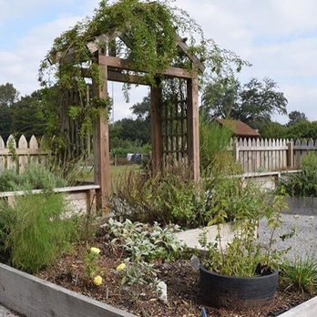 LSU Agcenter Botanic Gardens - Botanical Gardens Near Me - Baton Rouge, Louisiana