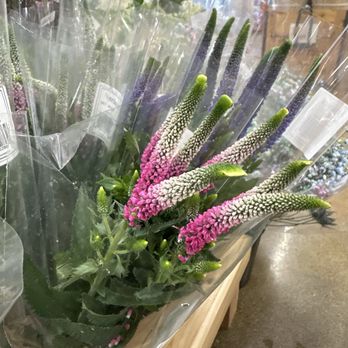 Trader Joe's - Grocery Near Me - Modesto, California
