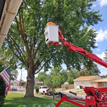 Cda Tree and Utility - Tree Services Near Me - Coeur d Alene, Idaho Cda Tree and Utility - Tree Services Near Me - Coeur d Alene, Idaho