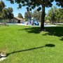 Windrows Park