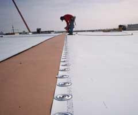 Rhino Roofing Systems Logo