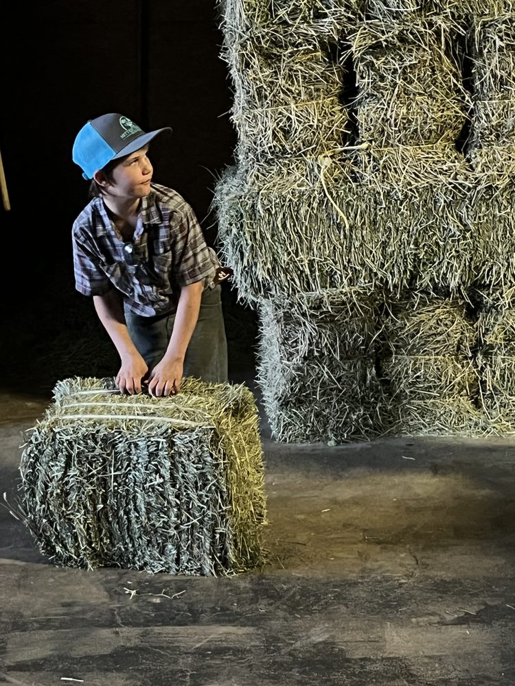 HAY USA Updated July 2024 53 Photos 1714 Blair Dr, Weatherford