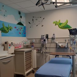 Adventhealth Palm Parkway ER - Patient room all decked out and ready for assisting with emergencies.