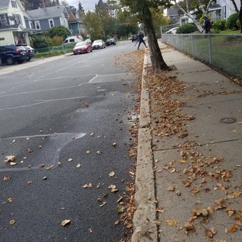 Perez Landscaping - a tree on the side of a street - Landscaping Near Me Perez Landscaping - a tree on the side of a street - Landscaping Near Me