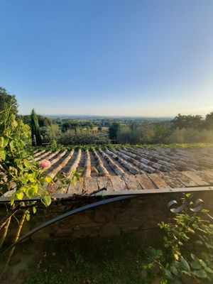 Relais Chateaux Il Falconiere & Spa by null