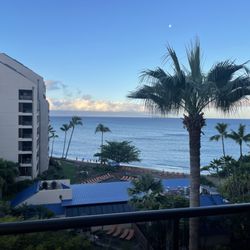 Hawaiian Haven
