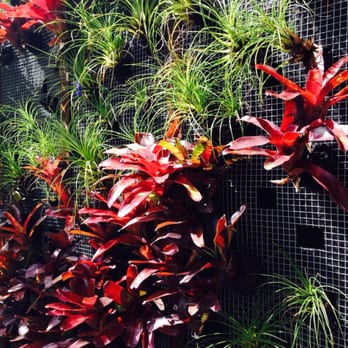 Dry & Tea - Hair Salons Near Me - Auckland, AUK Dry & Tea - Hair Salons Near Me - Auckland, AUK