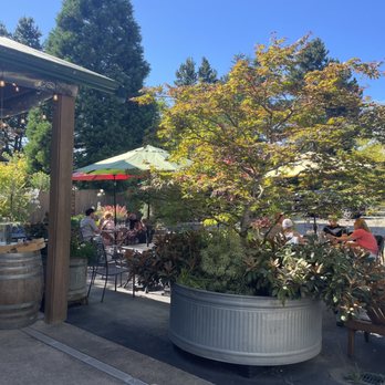 Bainbridge Vineyards - Patio area - Wineries Near Me - Bainbridge Island, Washington