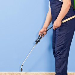 Dixon's Pest Control - Pest Control