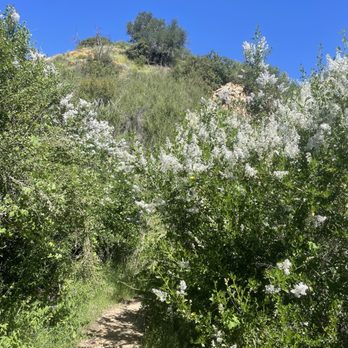 Malibu Creek State Park - Campgrounds Near Me - Calabasas, California Malibu Creek State Park - Campgrounds Near Me - Calabasas, California