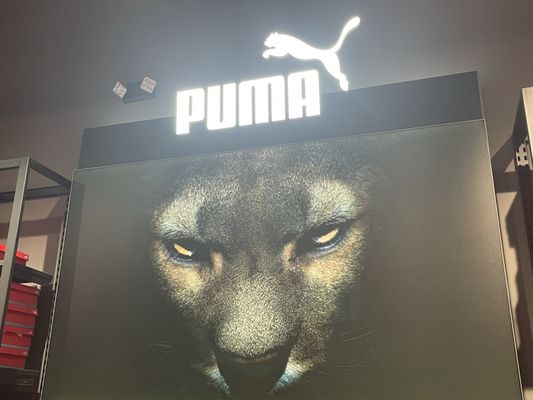 PUMA by null