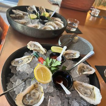 Costera Cocina Tulum - Chicago - Oysters - Mexican Near Me - Chicago, Illinois
