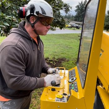 Five Star Stump Grinding - Tree Services Near Me Five Star Stump Grinding - Tree Services Near Me