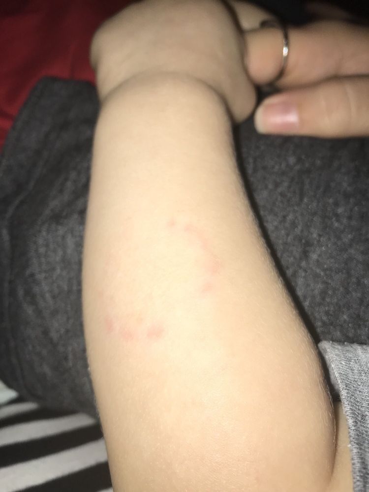 Sunshine House - childcare center in Gainesville, FL