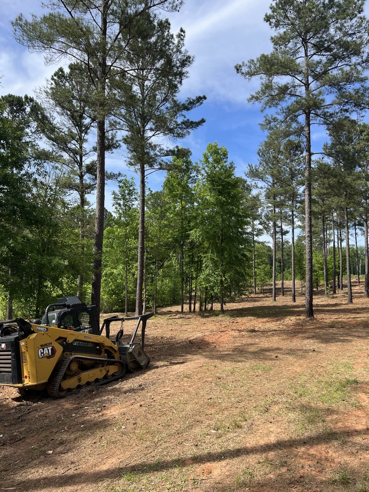 Branch Management Services - veterans service organization in Tignall, GA