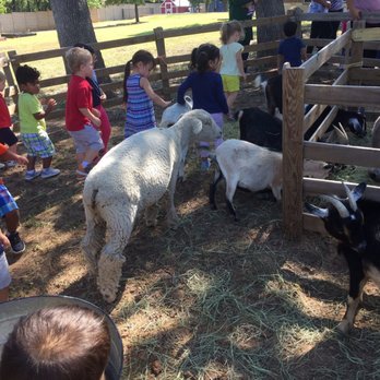 Joyous Montessori Keller - Preschools Near Me - Keller, Texas Joyous Montessori Keller - Preschools Near Me - Keller, Texas