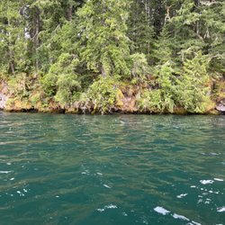 Lake Merwin Camper's Hideaway - Beautiful Lake