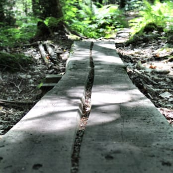 Androscoggin Riverlands State Park - Homestead Trail - Hiking Near Me - Turner, Maine