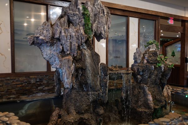 Feast Buffet by null